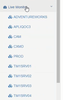 Customisation of TM1 instance list by user